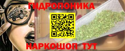 apvp Заволжье