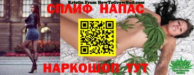 молекула духа Жуковский