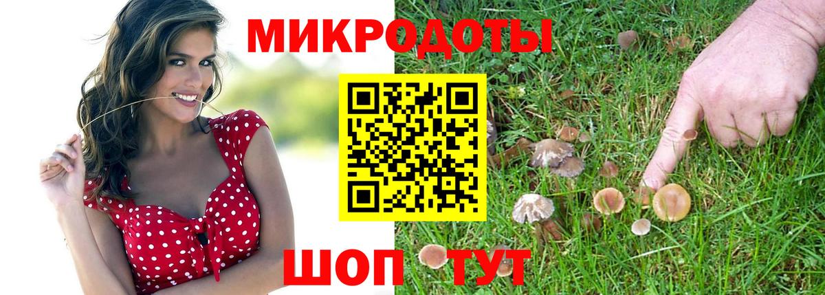 Галлюциногенные грибы мицелий Ликино-Дулёво